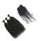 9A Non - Remy 100 Percent Virgin Malaysian Hair Water Wave Lace Frontal Closure supplier